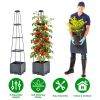 2Pack Raised Garden Bed Boxes with Trellis 56" Tomato Self-Watering Planter Box Indoor Outdoor with 4 Adjustable Heights 10 Clips 65FT Ties for Climbi