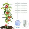 6ft*2ft 2PC  white round tube climbing trellis, stylish, simple, durable, and creates a beautiful space filled with greenery.