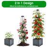 2Pack Raised Garden Bed Boxes with Trellis 56" Tomato Self-Watering Planter Box Indoor Outdoor with 4 Adjustable Heights 10 Clips 65FT Ties for Climbi